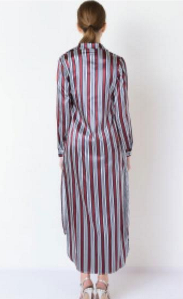 Alexi Shirt Dress - Reina Valentina