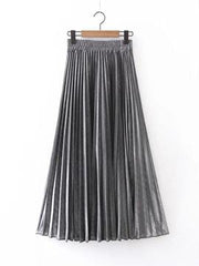 Silver Pleated Skirt - Reina Valentina